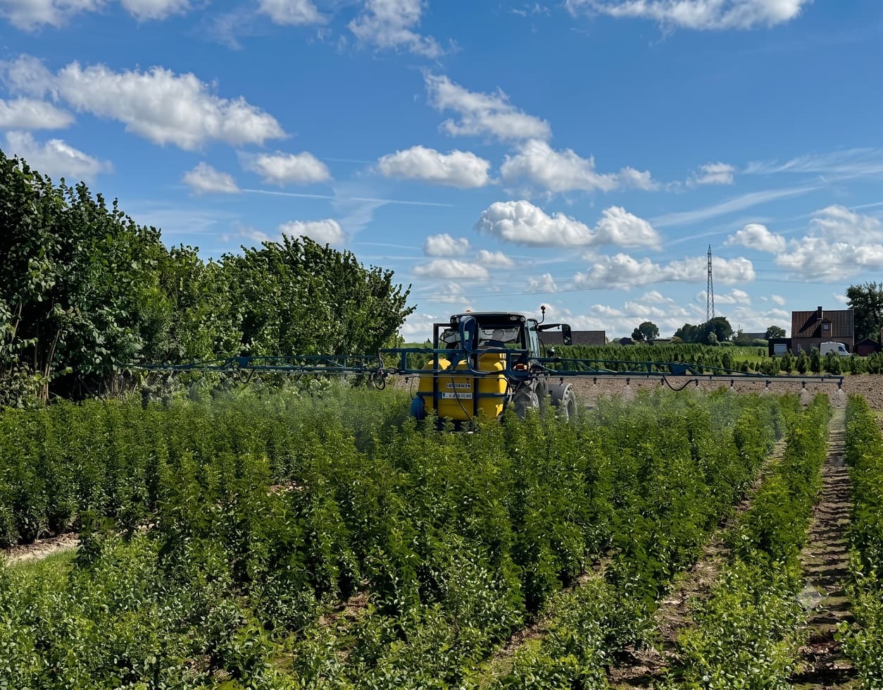 Geert aan het werk tussen de haagplanten op het veld